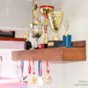 Trophy & Medal Shelf - Image 3