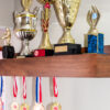 Trophy & Medal Shelf - Image 2